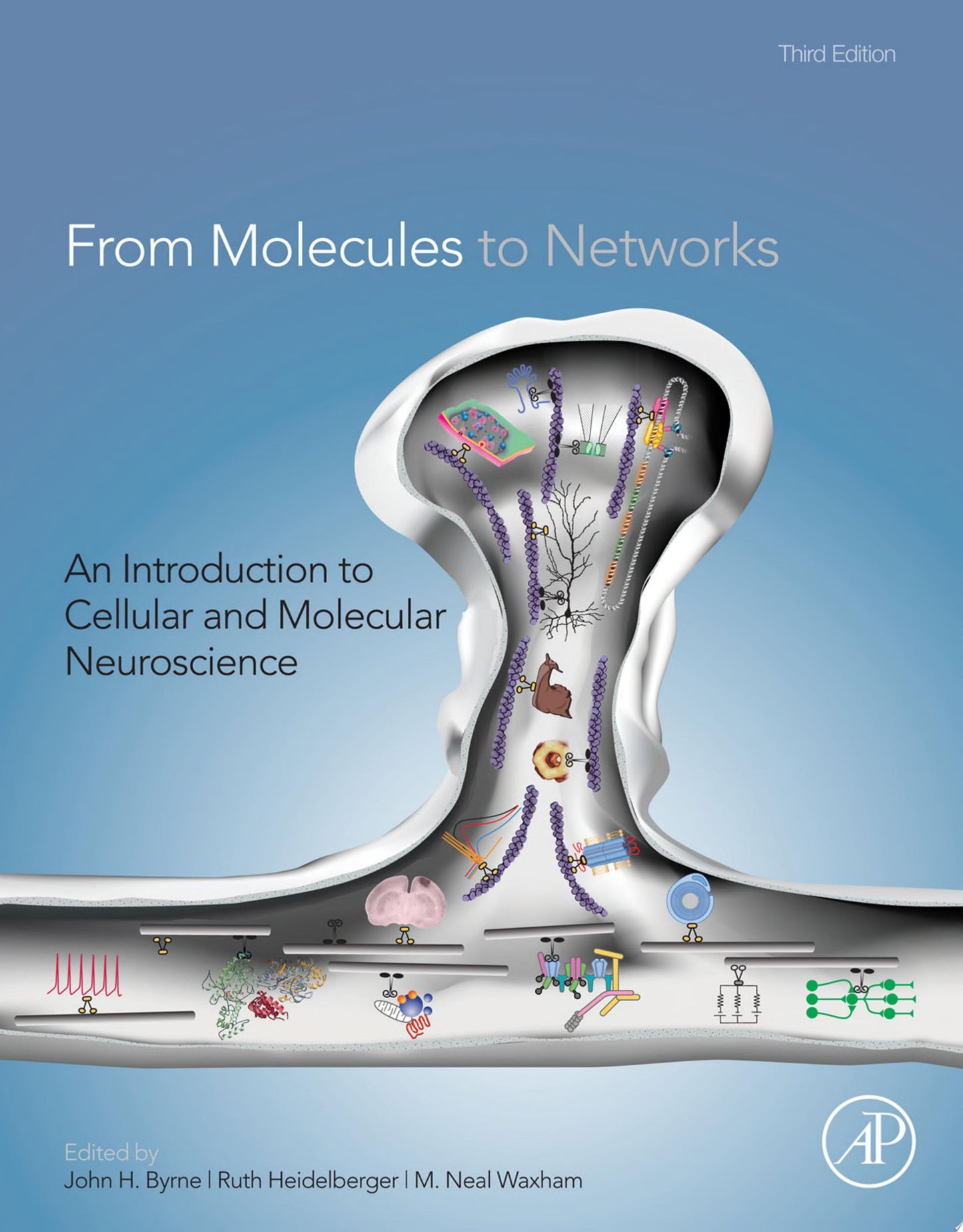 From Molecules to Networks An Introduction to Cellular and Molecular Neuroscience, 2nd Edition