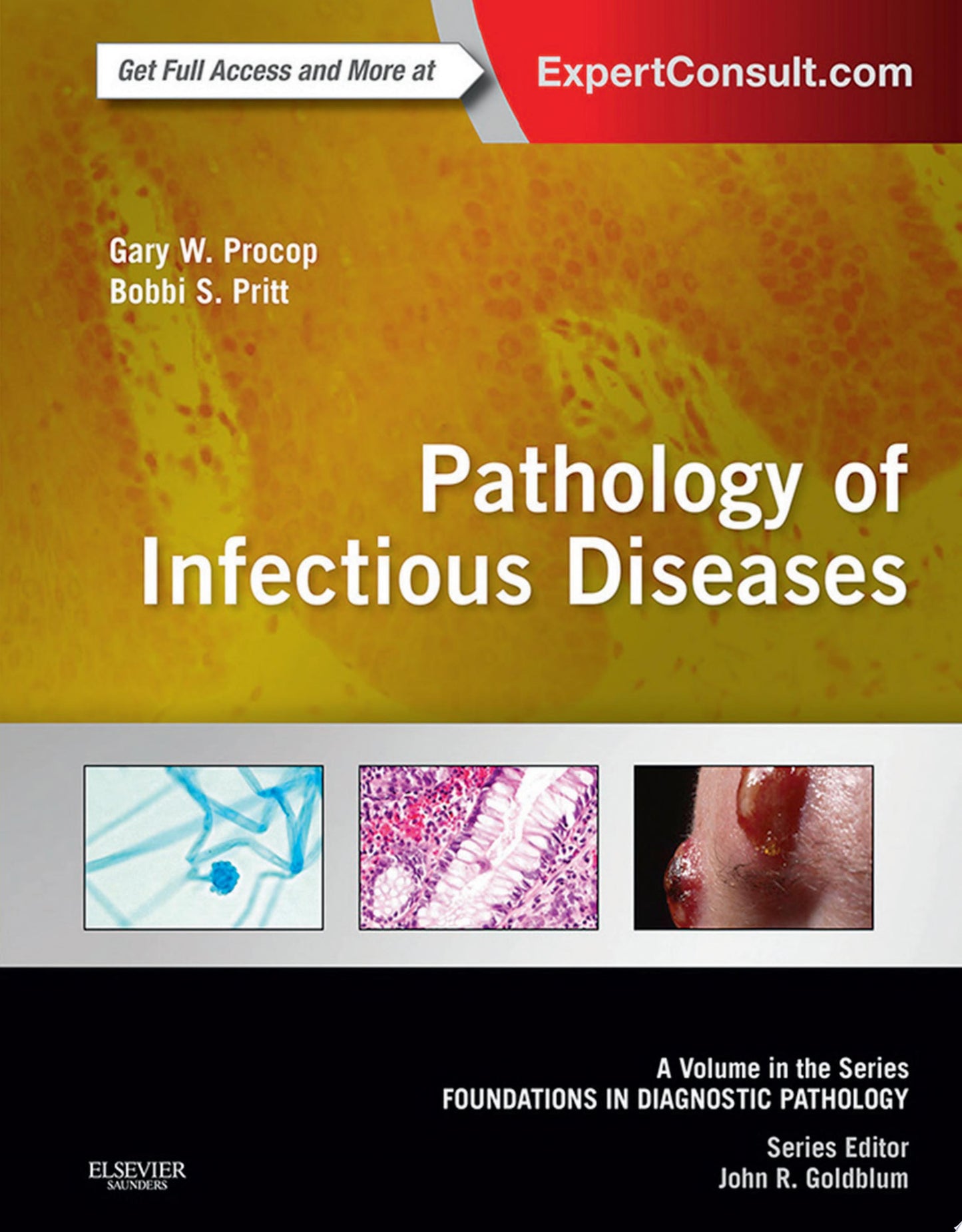 Pathology of Infectious Diseases: A Volume in the Series: Foundations in Diagnostic Pathology