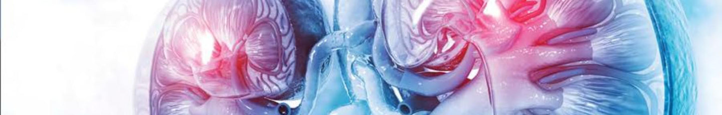Lippincott’s Illustrated Q&A Review of Histology