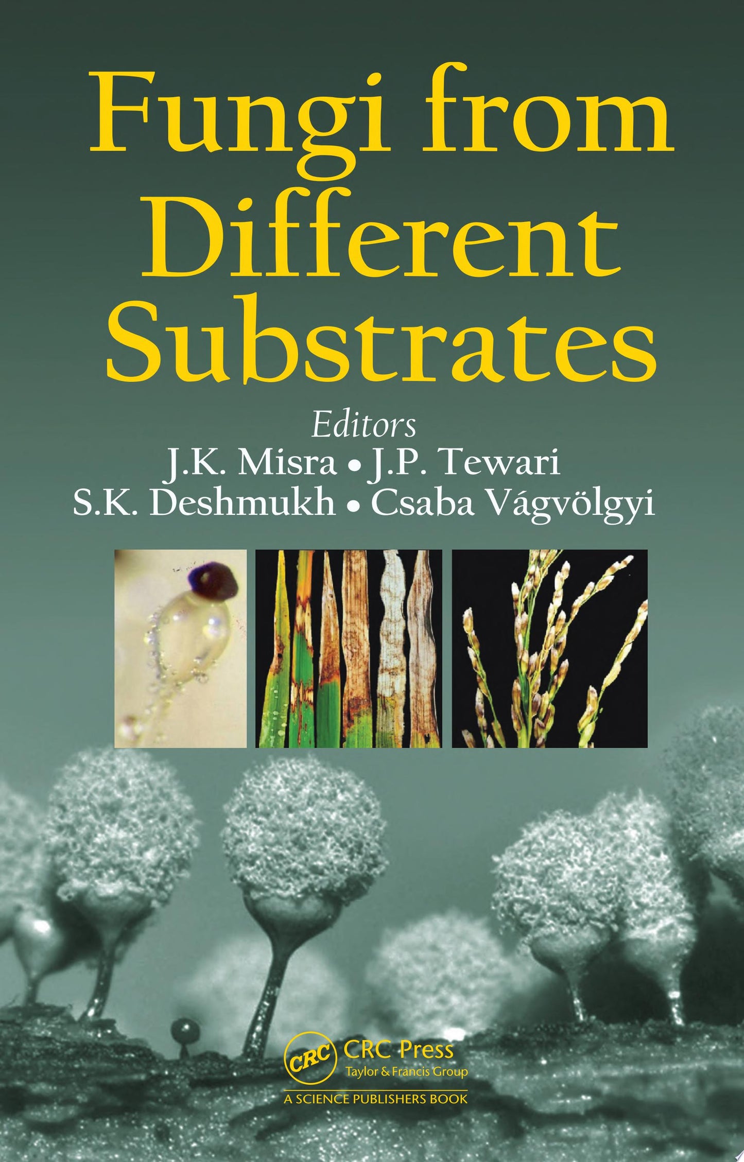 Fungi From Different Substrates