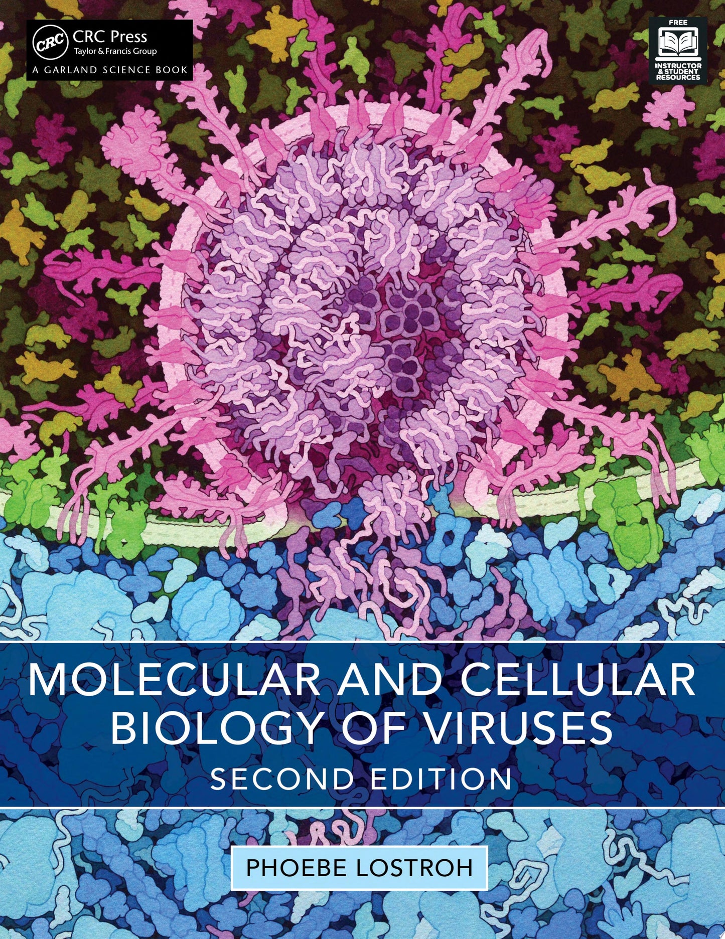 Molecular and Cellular Biology of Viruses, 2nd Edition