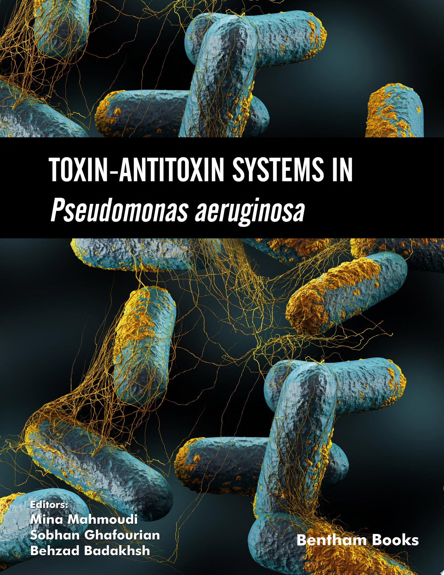 Fast Facts for Writing the DNP Project: Effective Structure, Content, and Presentation