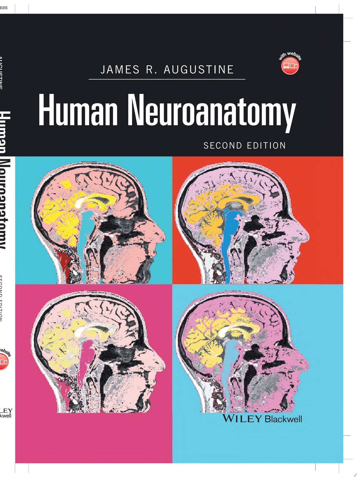 Human Neuroanatomy