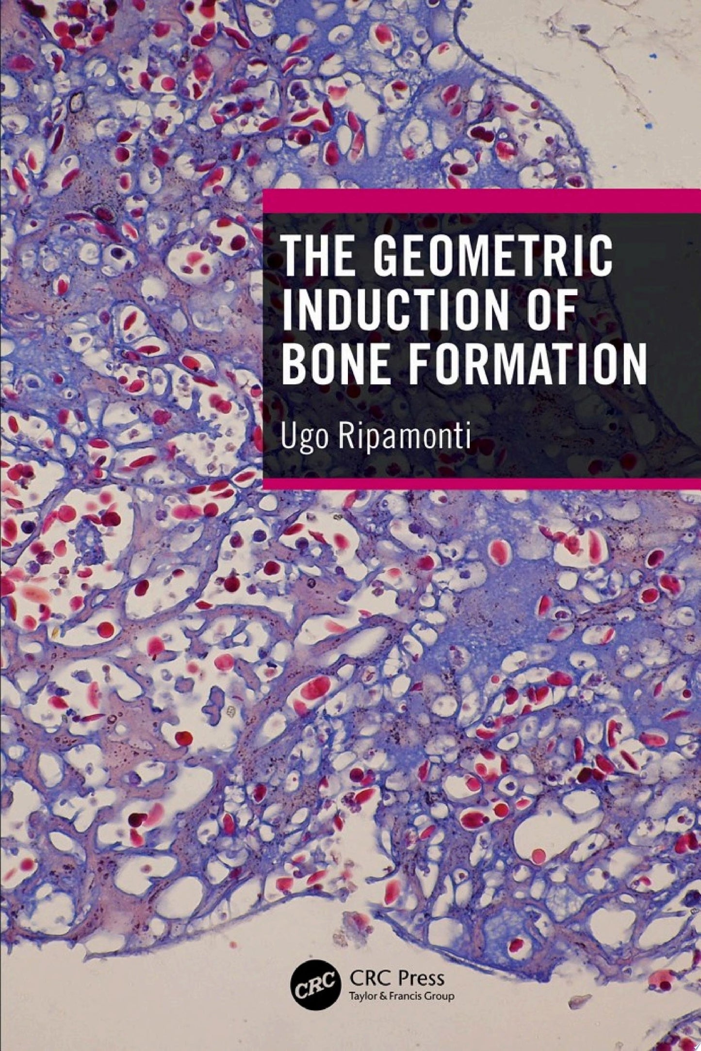 Cheminformatics, QSAR and Machine Learning Applications for Novel Drug Development
