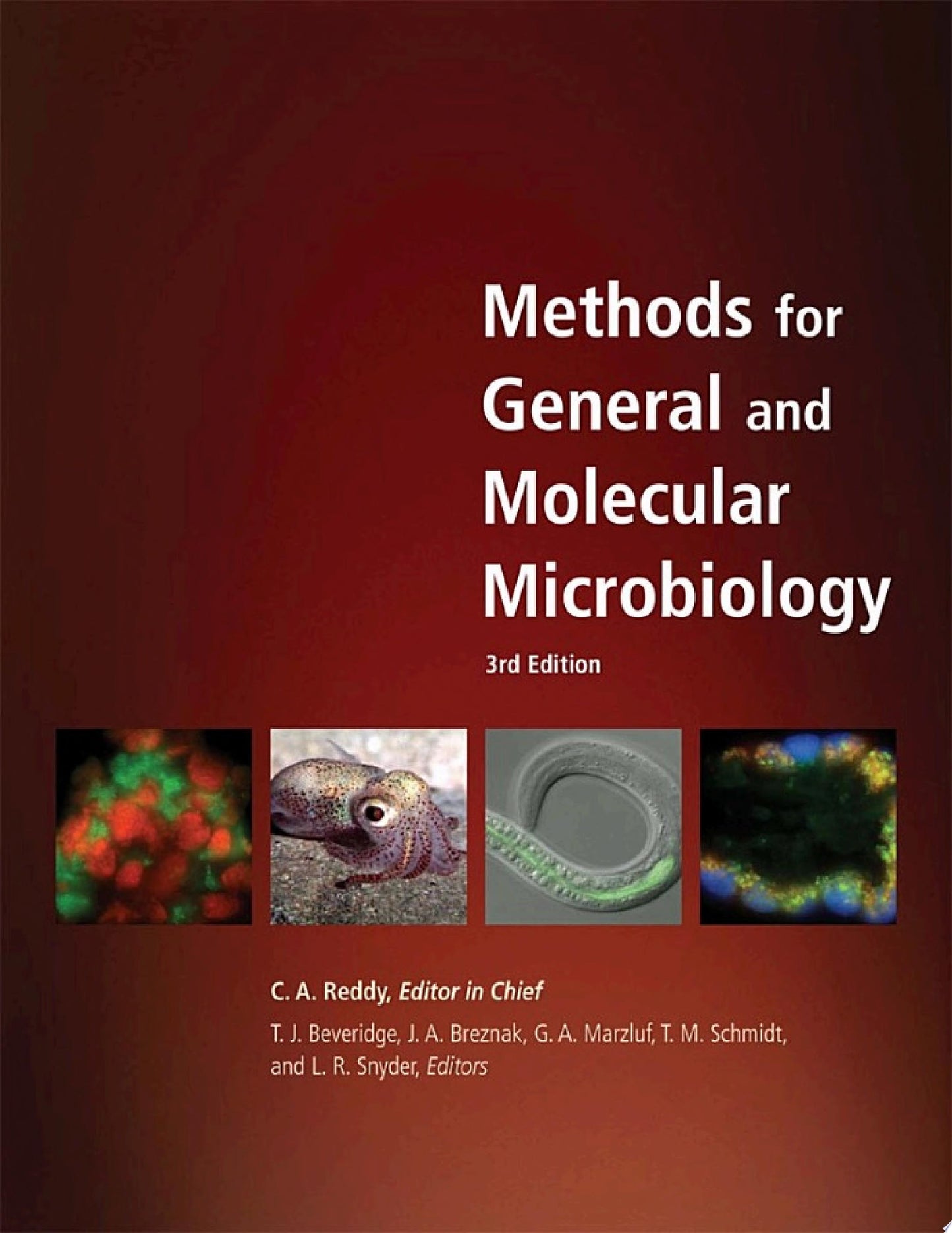 Methods for General and Molecular Microbiology, 3rd edition