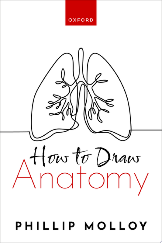 How To Draw Anatomy