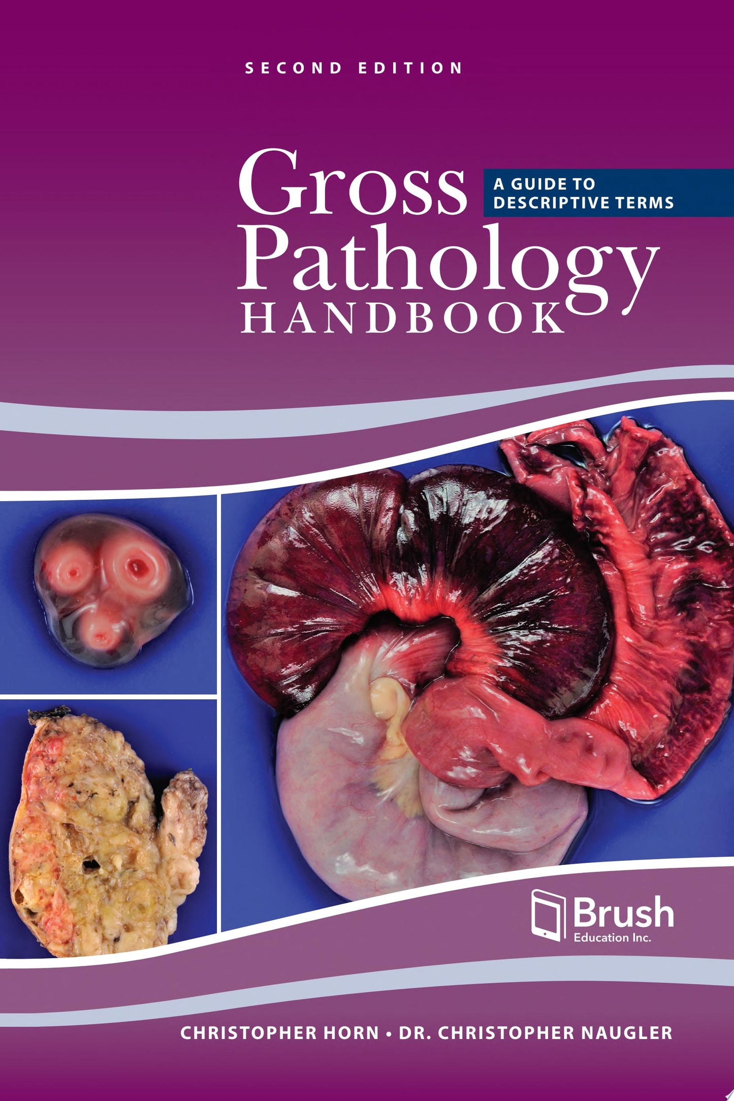 Medical Genetics, 6th Edition