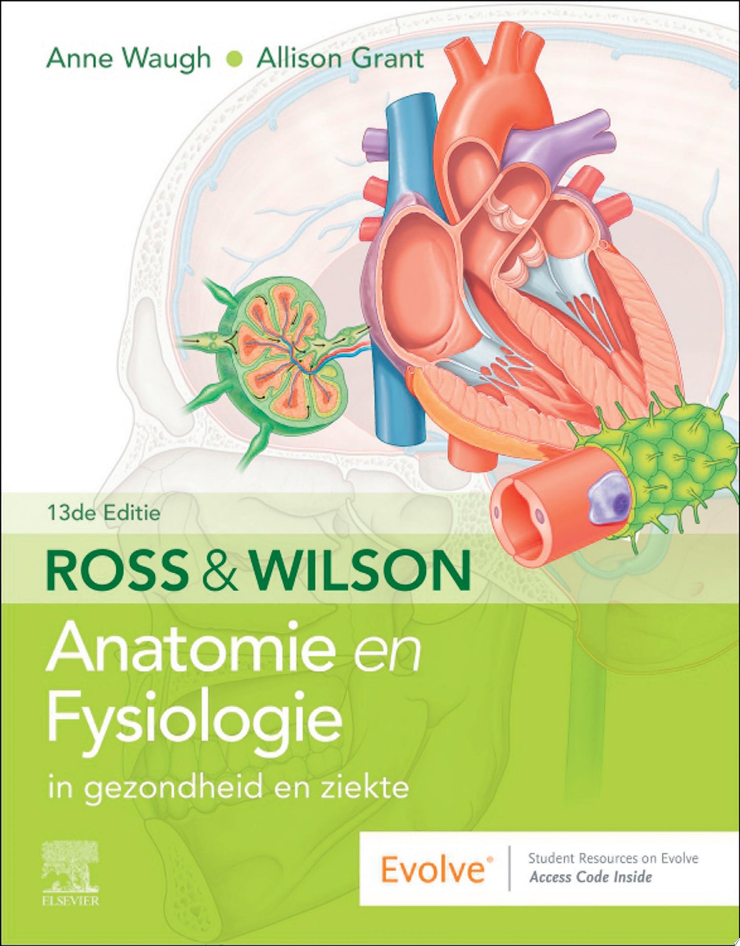 Ross en Wilson Anatomie en Fysiologie in gezondheid en ziekte, 13e