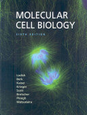 Molecular Cell Biology, 8th Edition