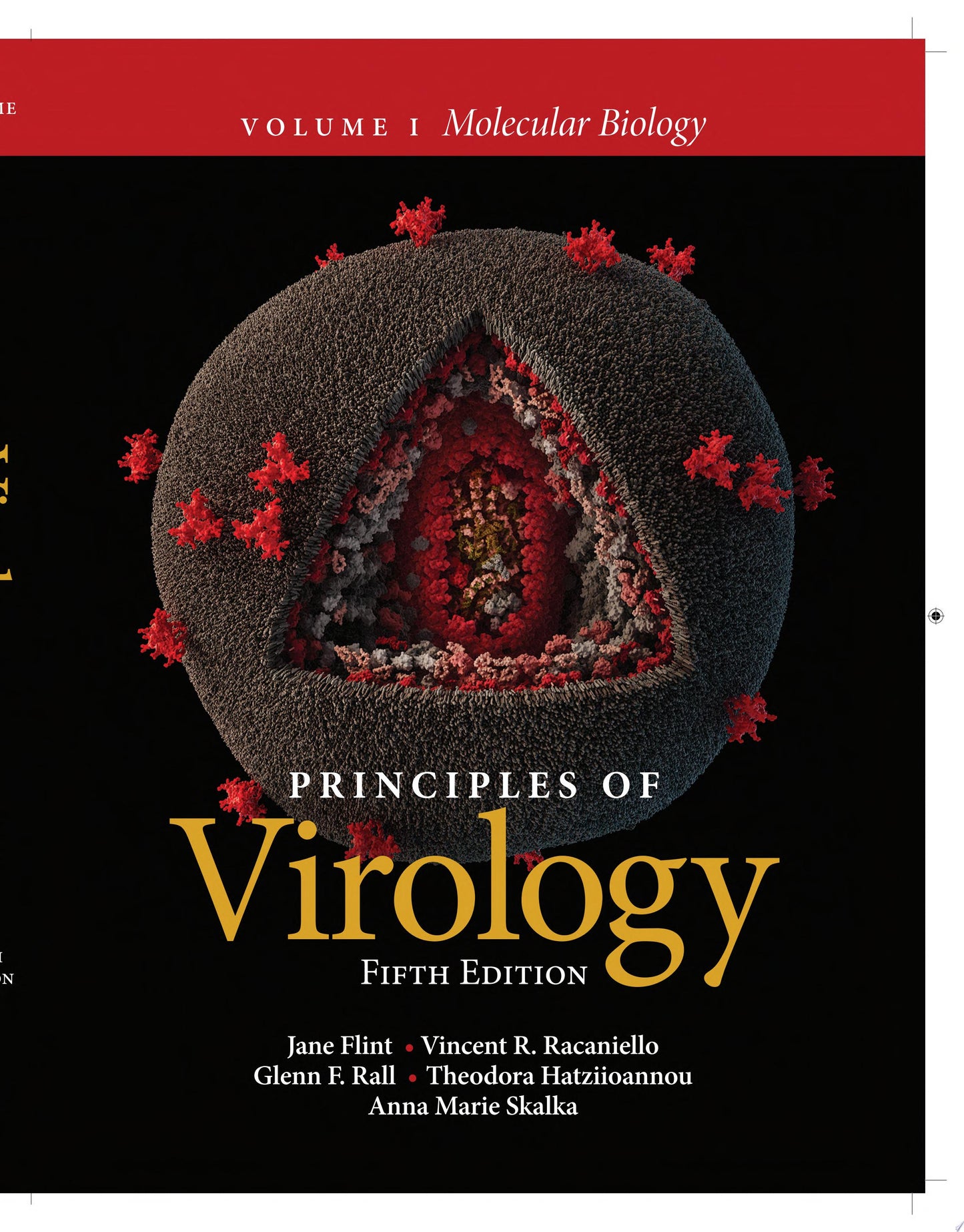 Textbook of Clinical Embryology, 2nd Edition