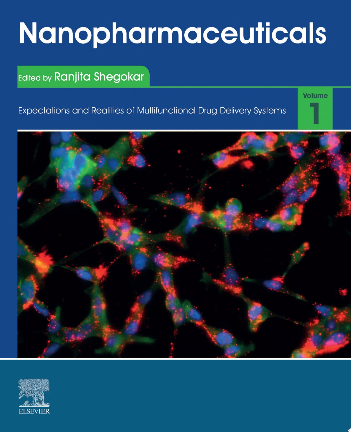 Nanopharmaceuticals: Volume 1: Expectations and Realities of Multifunctional Drug Delivery Systems