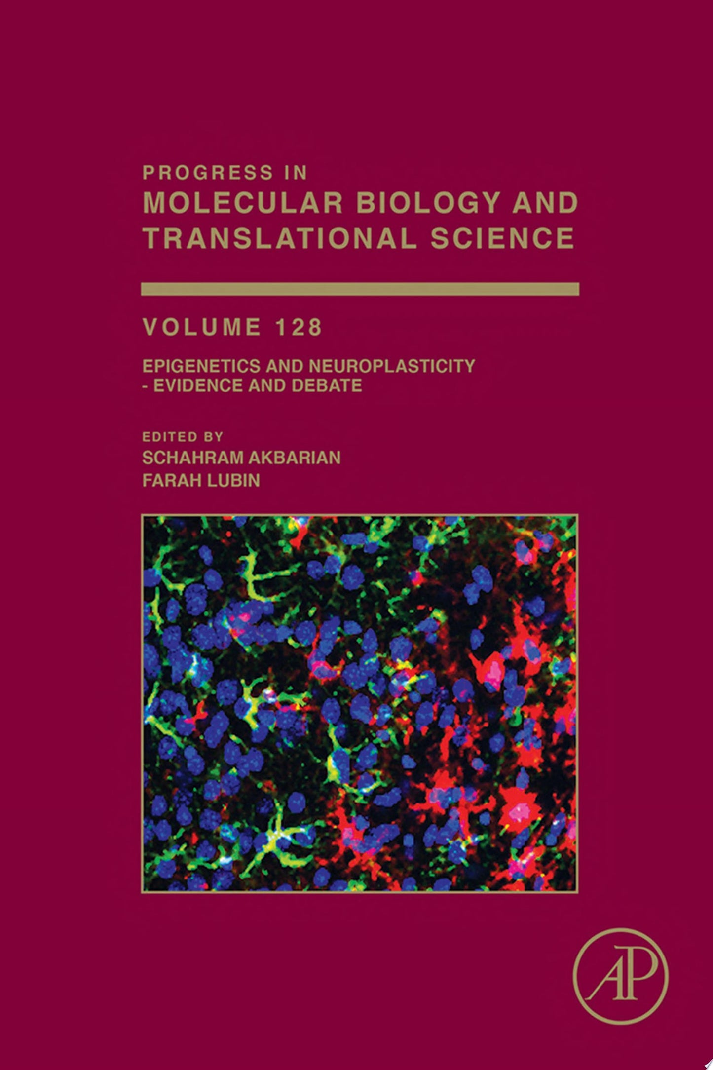 Epigenetics and Neuroplasticity – Evidence and Debate, Volume 128