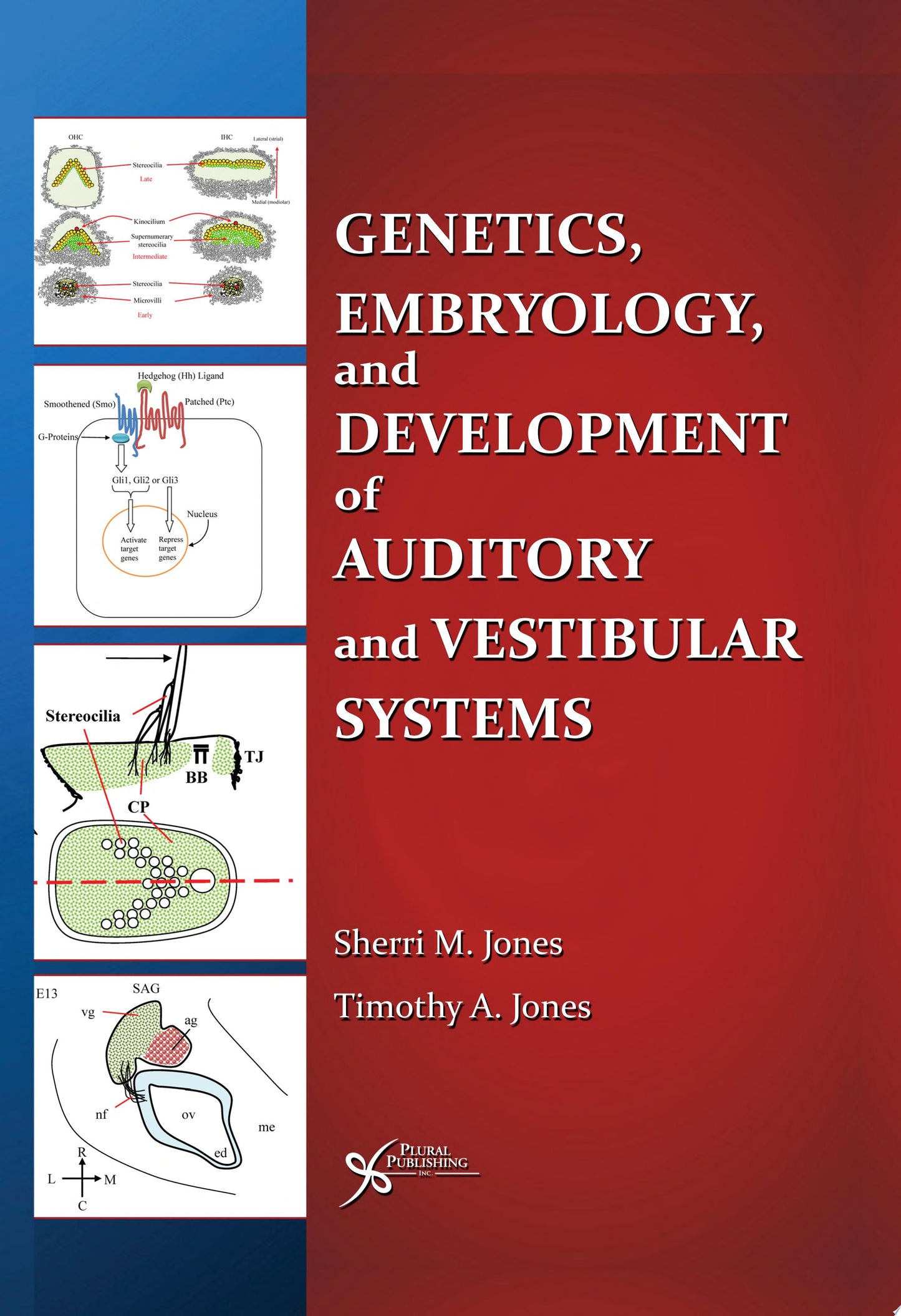 Genetics, Embryology, and Development of Auditory and Vestibular Systems