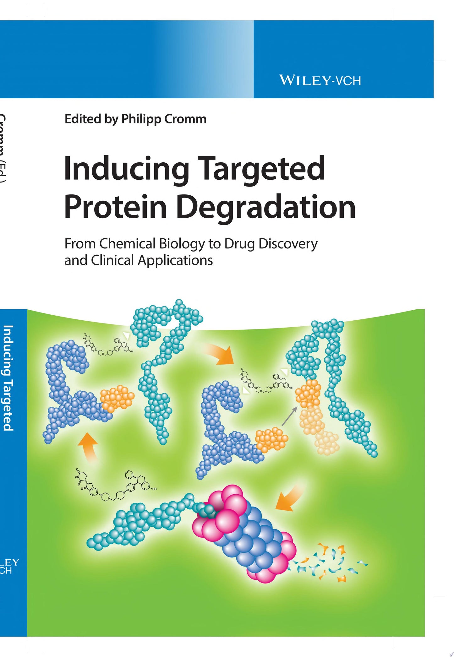 Inducing Targeted Protein Degradation: From Chemical Biology to Drug Discovery and Clinical Applications