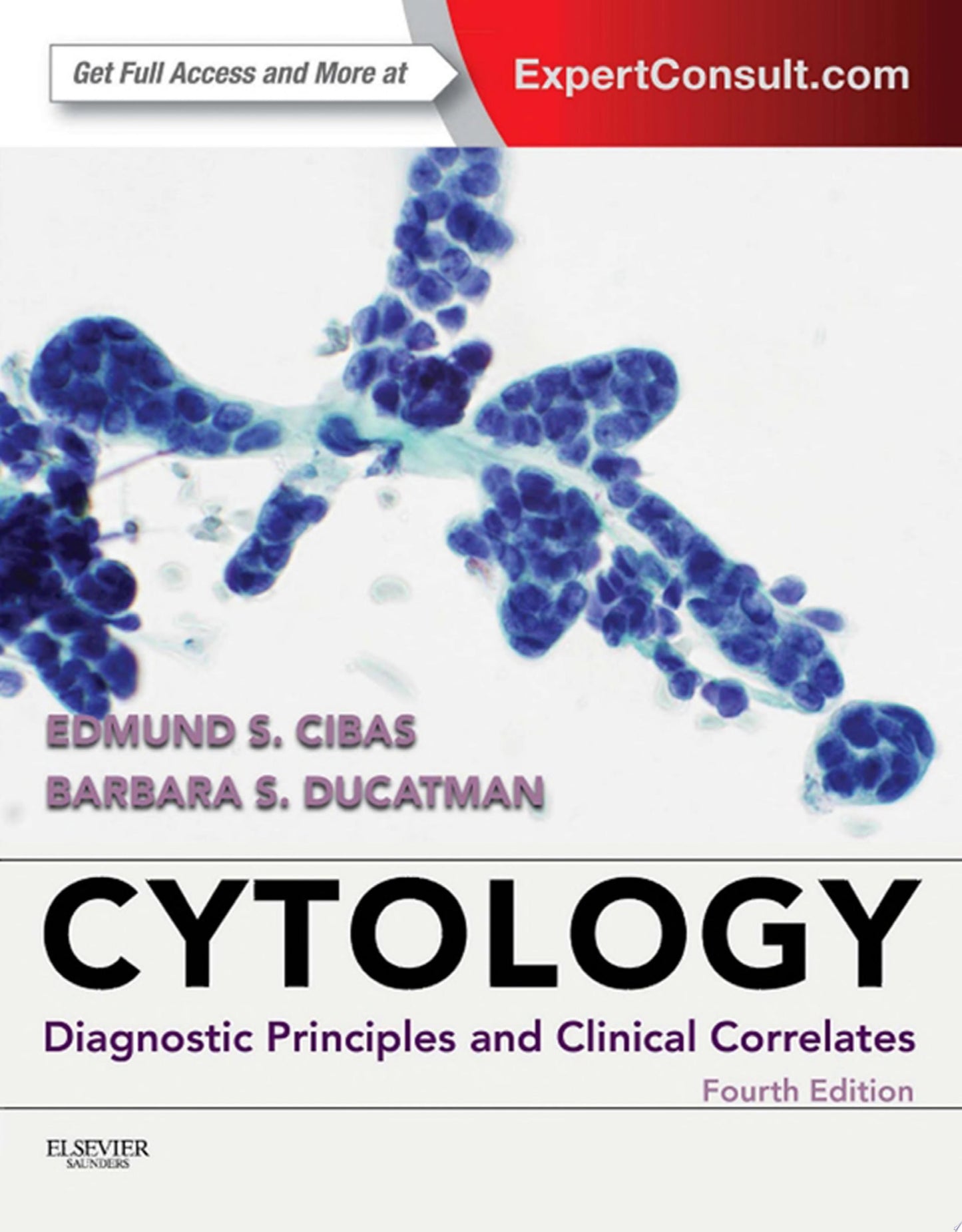 Immunology & Serology in Laboratory Medicine, 7th Edition