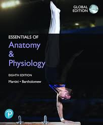 Essentials of Anatomy & Physiology, Global Edition, 8th Edition